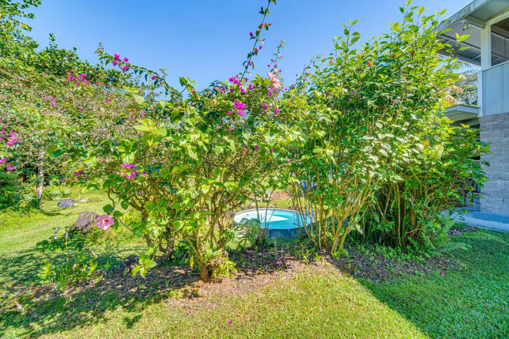 Keaau Apartment On Beautiful Acre With Pool And Deck! Exteriör bild