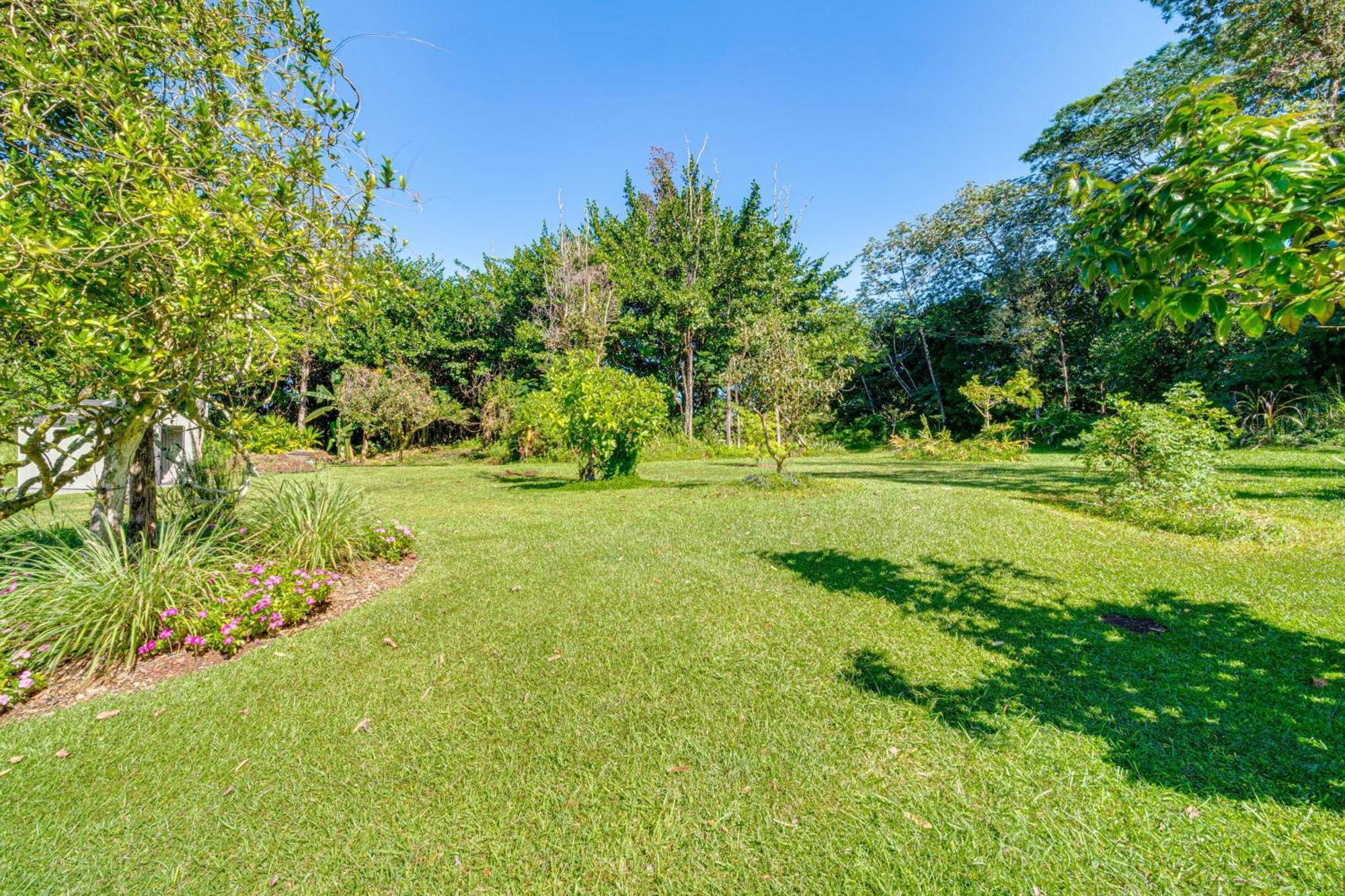 Keaau Apartment On Beautiful Acre With Pool And Deck! Exteriör bild